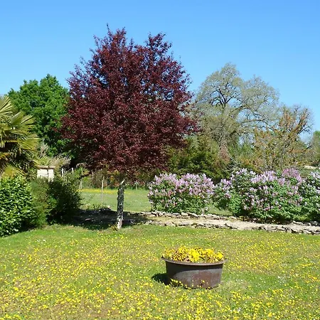 Domaine De La Vaysse Chambres D'hotes Gasthof