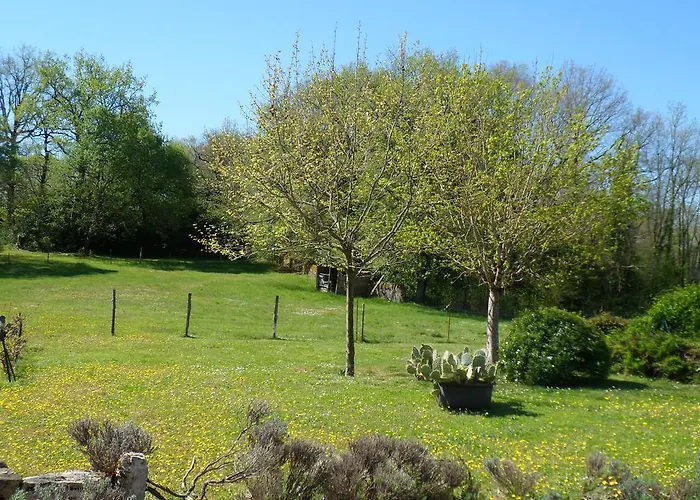 Domaine De La Vaysse Maison d'hôtes *