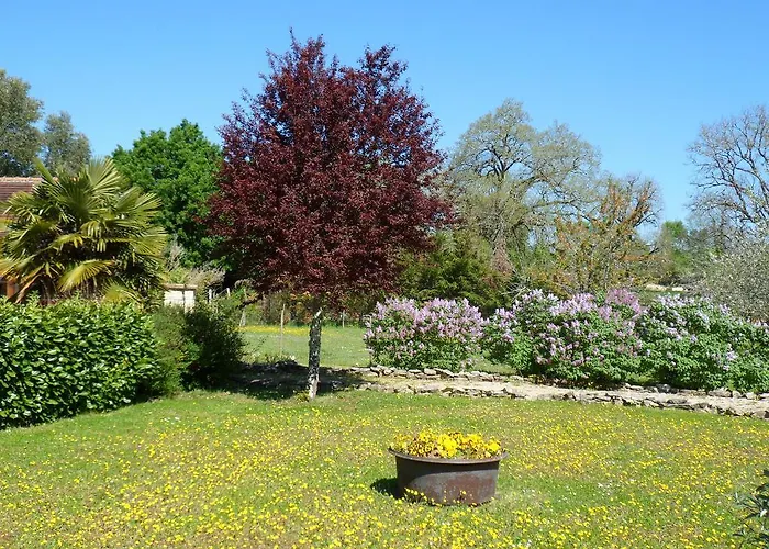 Domaine De La Vaysse Maison d'hôtes